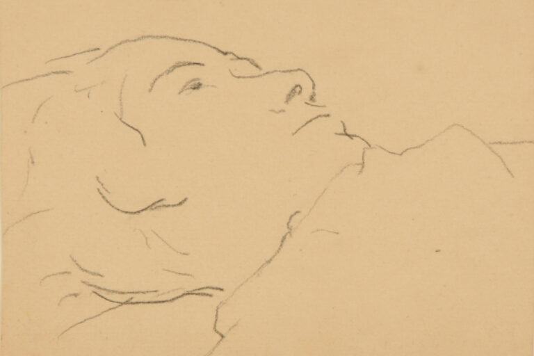 Jeune femme en buste, couchee au sol, tournee a droite