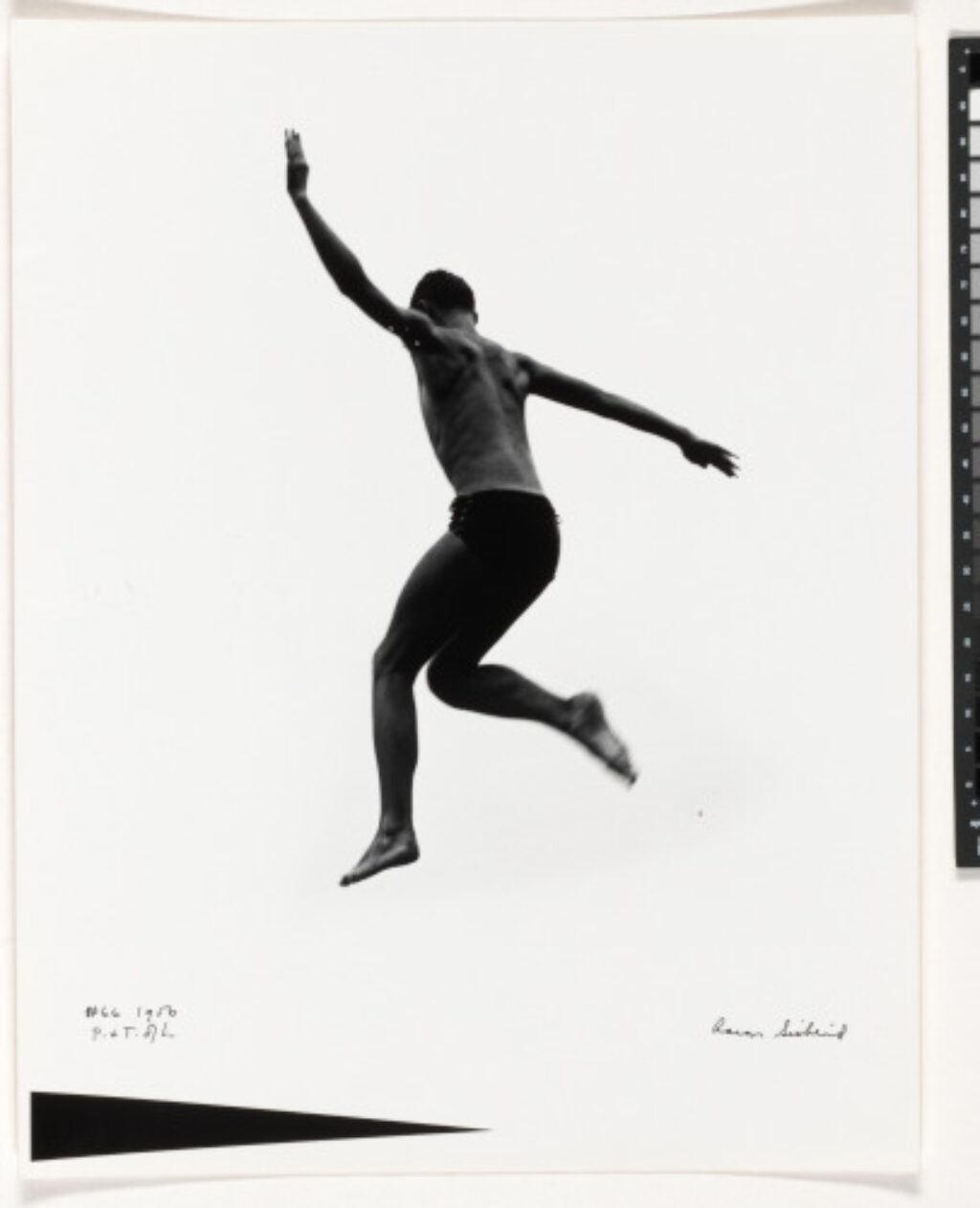 Pleasures and Terror of Levitation #66