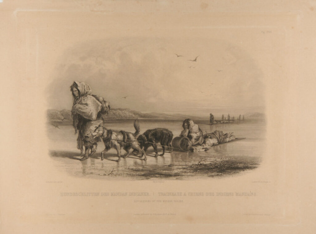 Dog-Sledges of the Mandan Indians