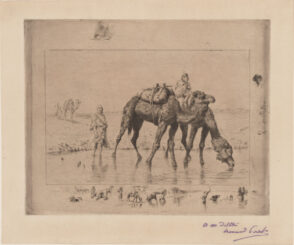 Chameaux Traversant un Gué