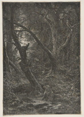 Récréation des ours