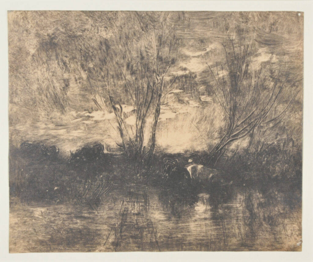 Cows at the Watering Place