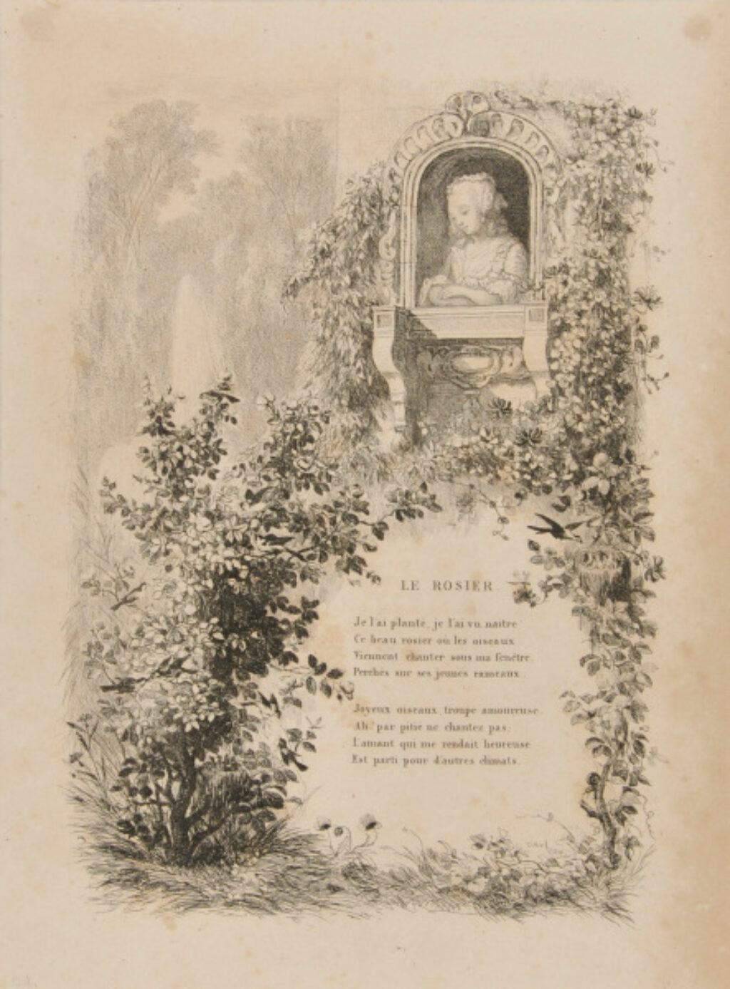 Le Rosier (1er planche)