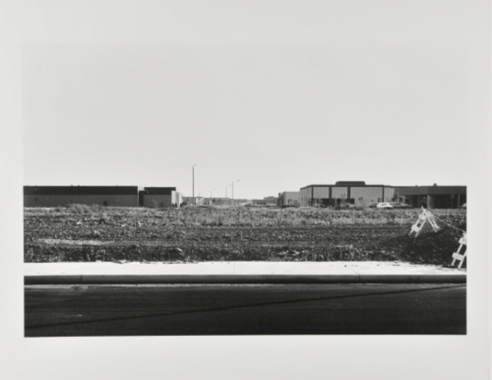 Pauwels Franck [Paul Franchoys or Paolo Fiammingo or dei Franchesi]