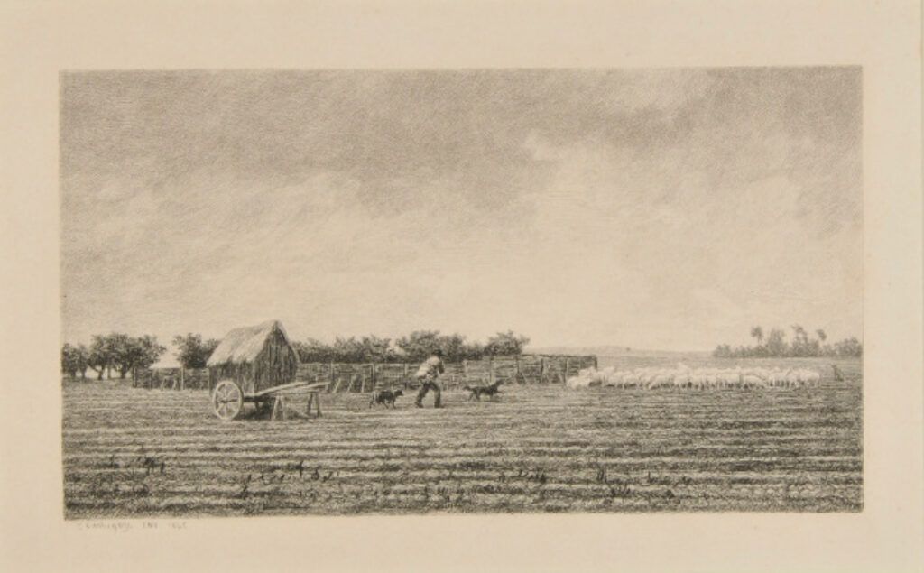 Le Petit parc à moutons