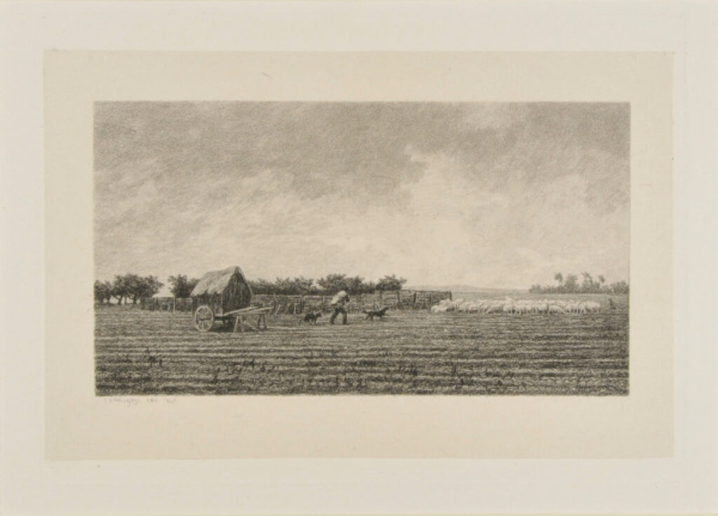 Le Petit parc à moutons