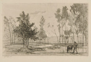 The Donkey at the Watering Place