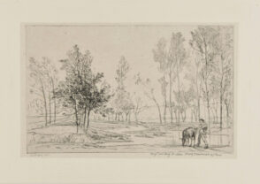 The Donkey at the Watering Place