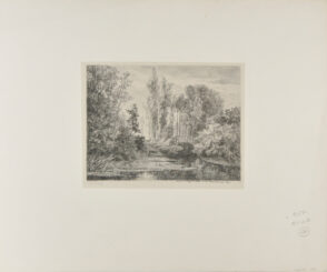 Stags at the Water’s Edge