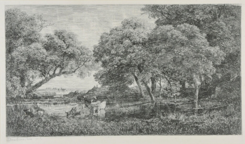 Les Vaches au marais