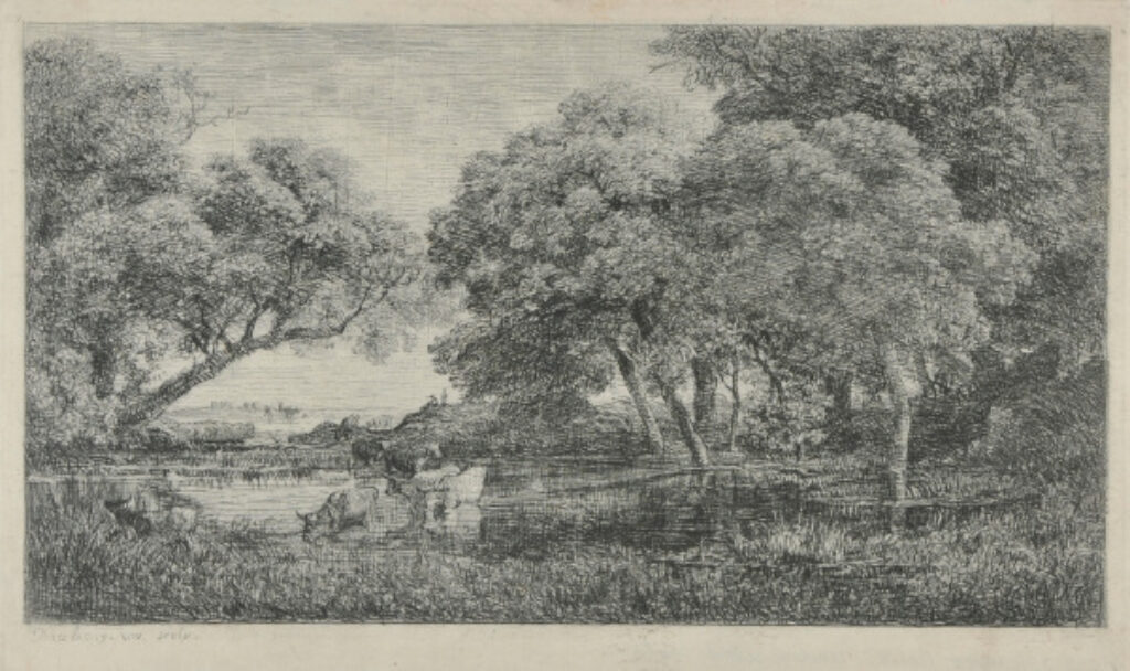 Les Vaches au marais