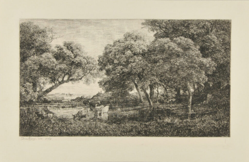 Les Vaches au marais