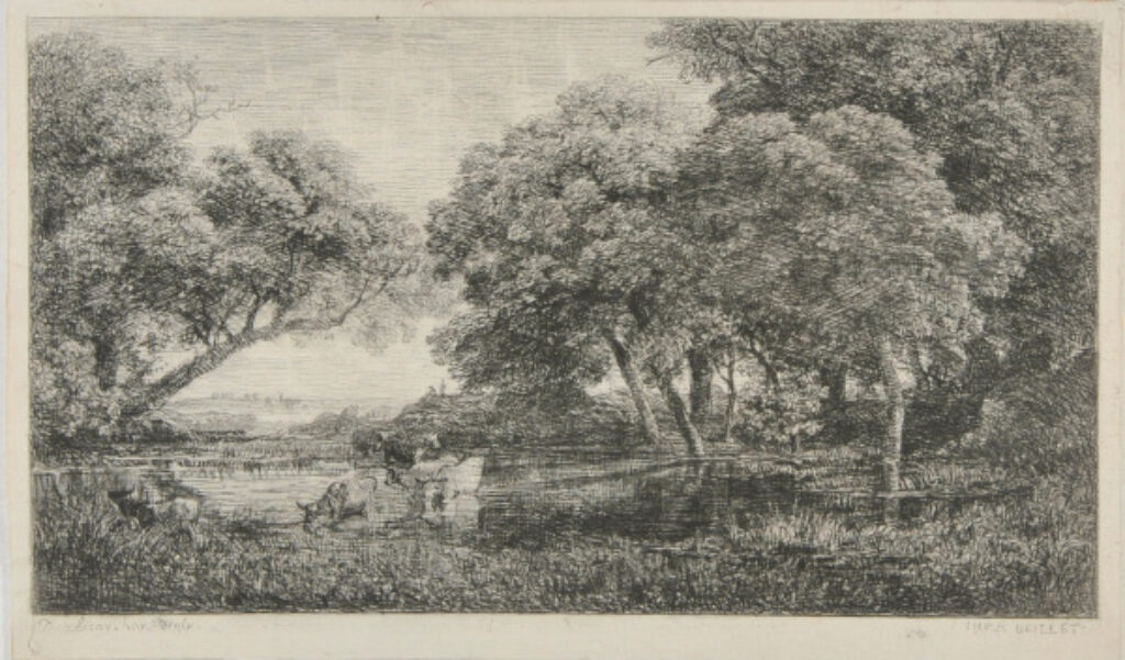 Les Vaches au marais