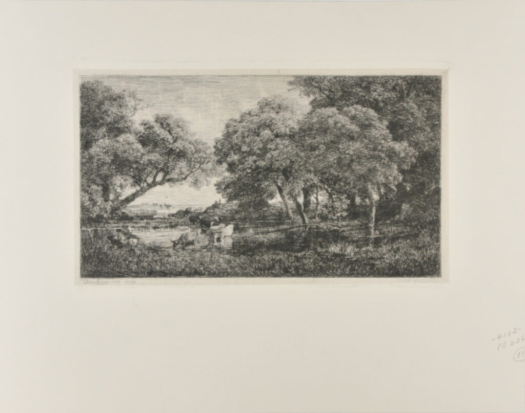 Les Vaches au marais