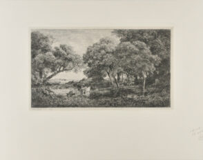 Les Vaches au marais