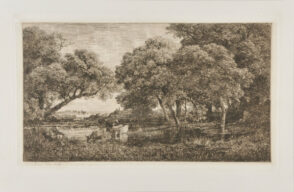 The Cows in the Marsh