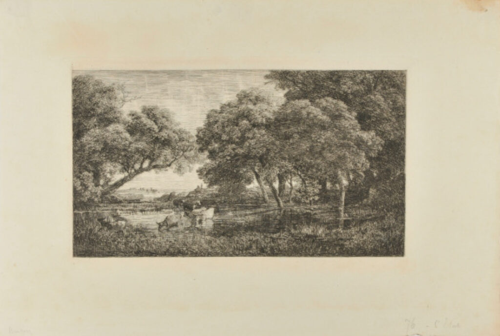 Les Vaches au marais