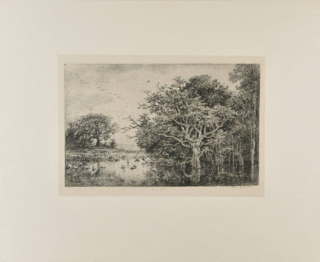 Le Marais (aux cigognes)