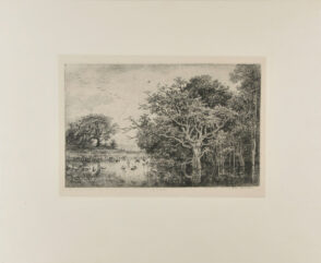 Le Marais (aux cigognes)