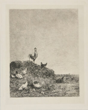 Dawn (The Song of the Cock)