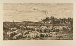 Le Grand parc à moutons