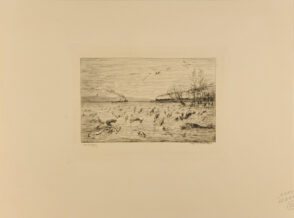 Réjouissances des poissons du départ du Mousse (Les Poissons)