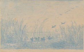 Le Marais aux canards