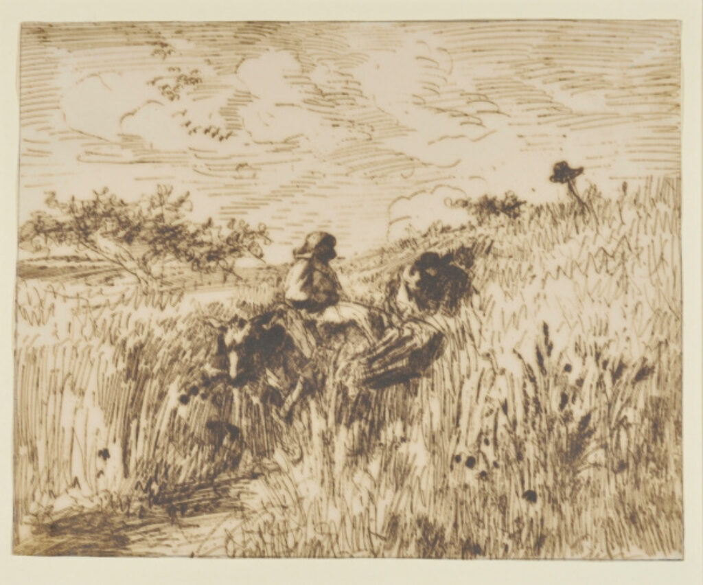 Sentier dans les blés