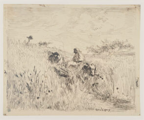 Sentier dans les blés