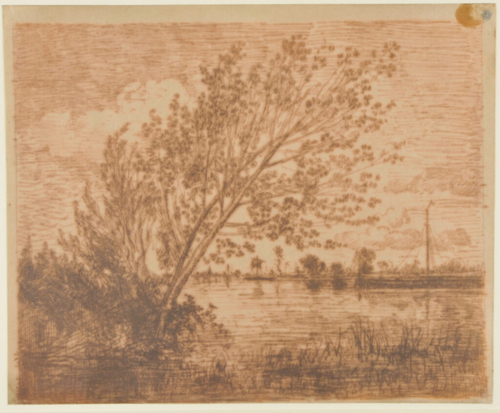 Le Bouquet d’aunes