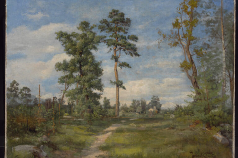LANDSCAPE