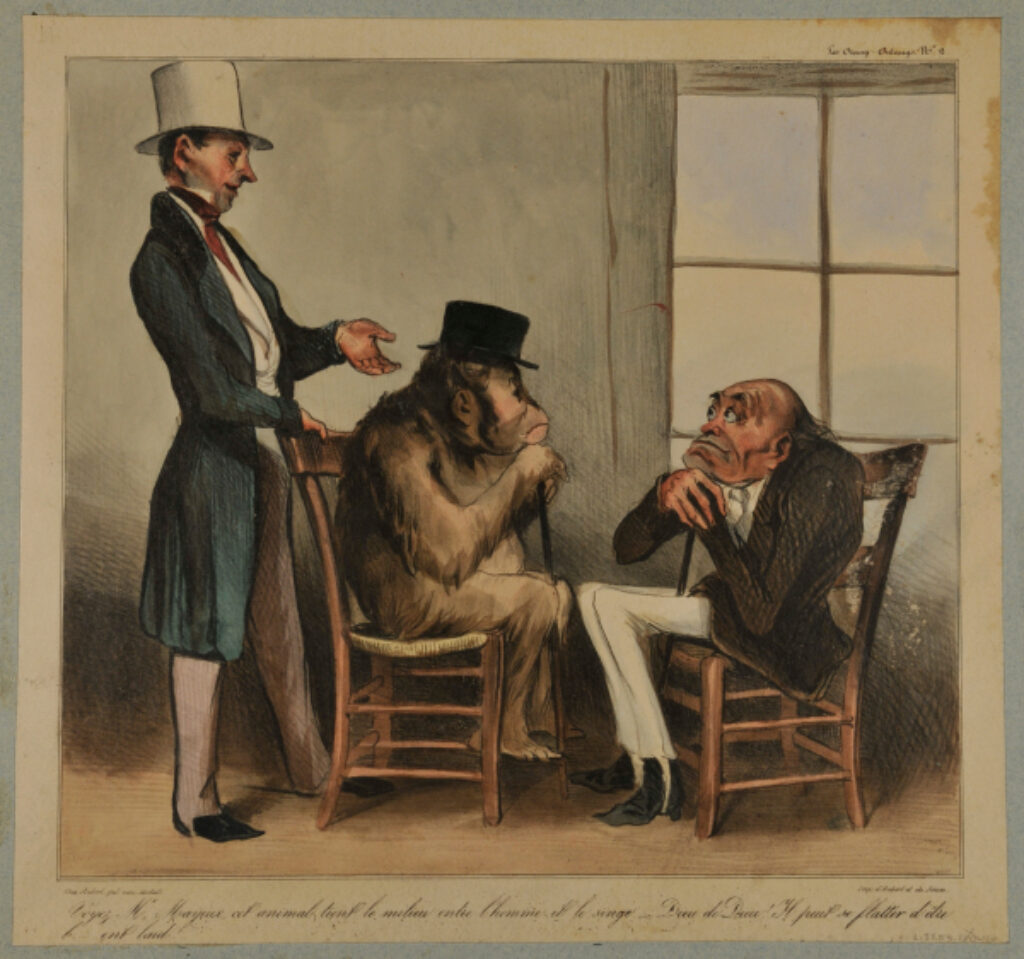 Voyez Mr. Mayeux, cet animal tient le milieu entre l’homme et le singe – Dieu de Dieu! Il peut se flatter d’être b…ent laid!