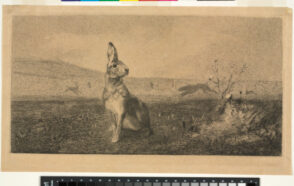 The Hare