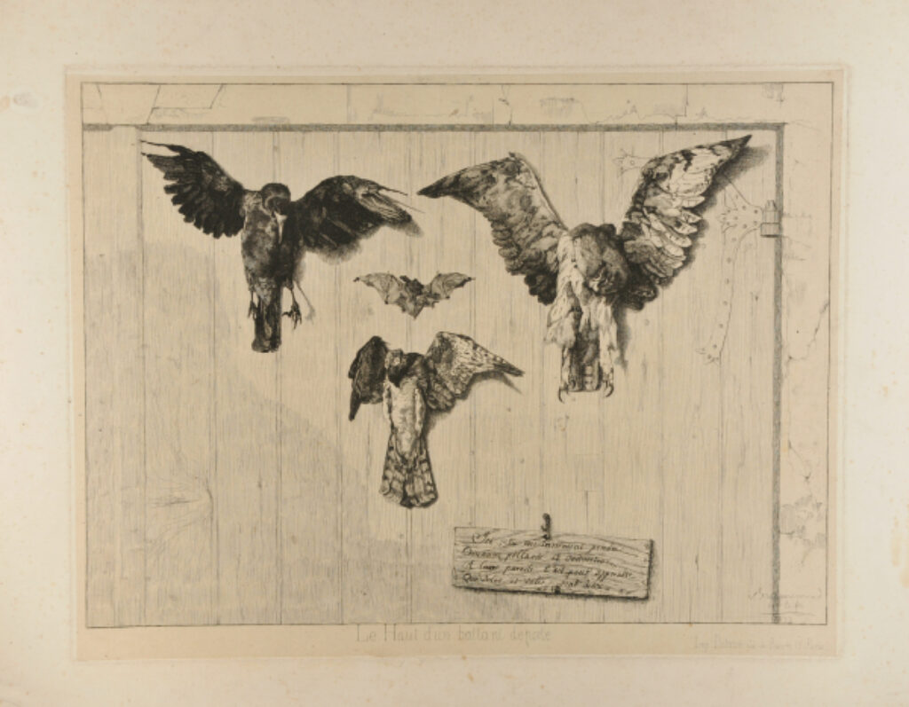 Le Haut d’un Battant de Porte