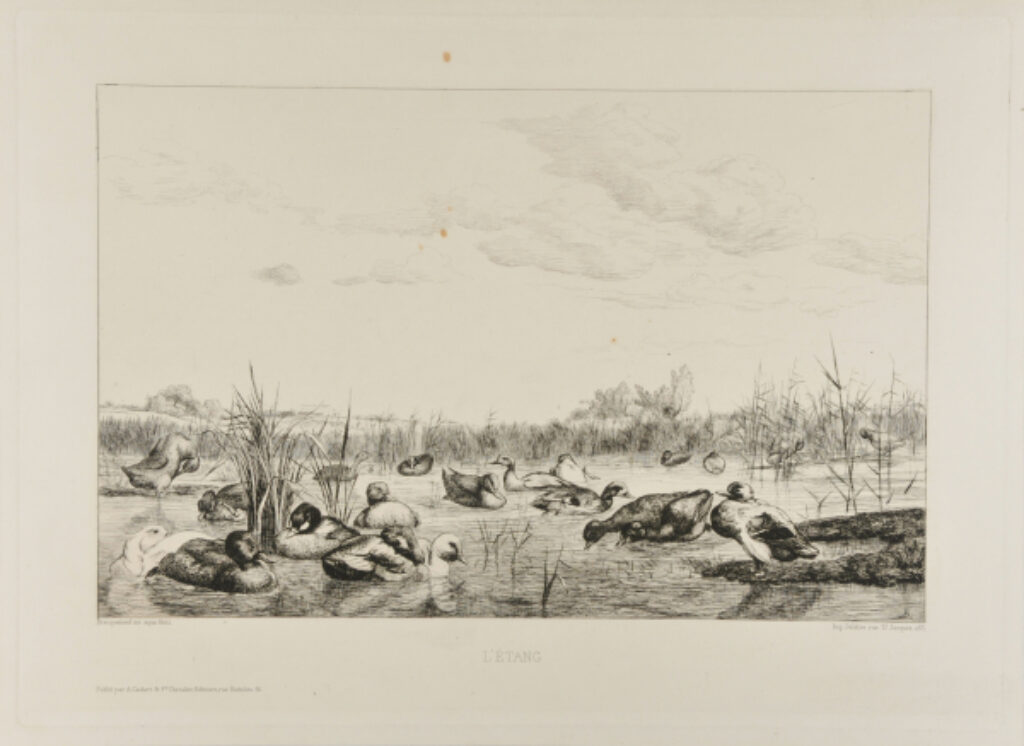 L’Étang (deuxième planche)