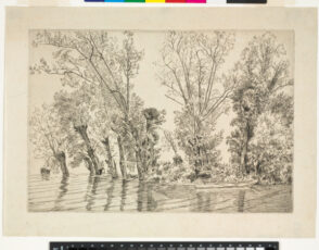 Les Saules des Mottiaux