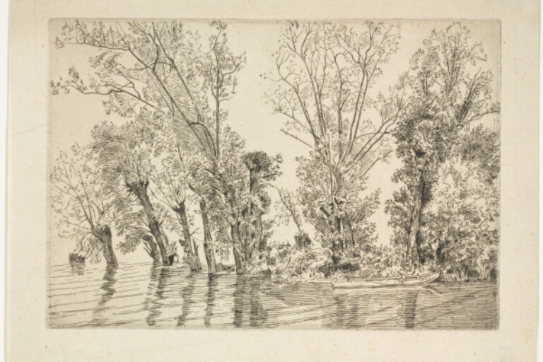 THE WILLOWS AT MOTTIAUX