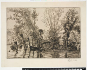 Les Saules des Mottiaux