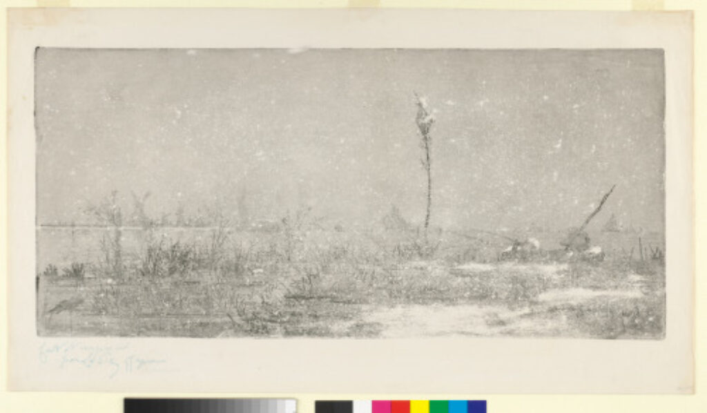 From the series “Views from the Banks of the Scheldt” - Image 1