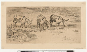 Quatre ânons dans un pré