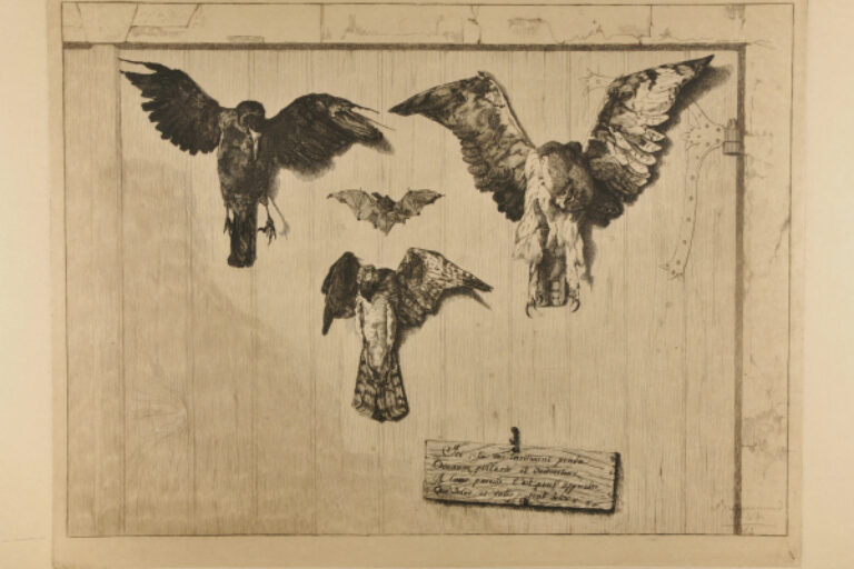 THE TOP HALF OF THE DOOR