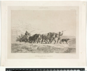 Attelage de boeufs (Haut-Dauphiné)