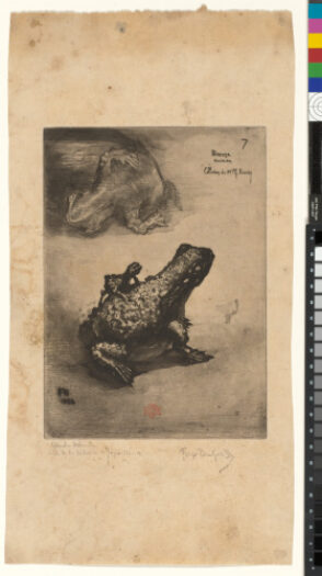 Crapaud bronze