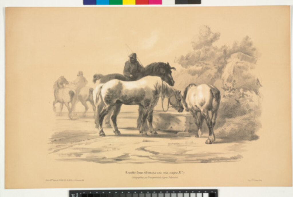 Chevaux à l’Abreuvoir