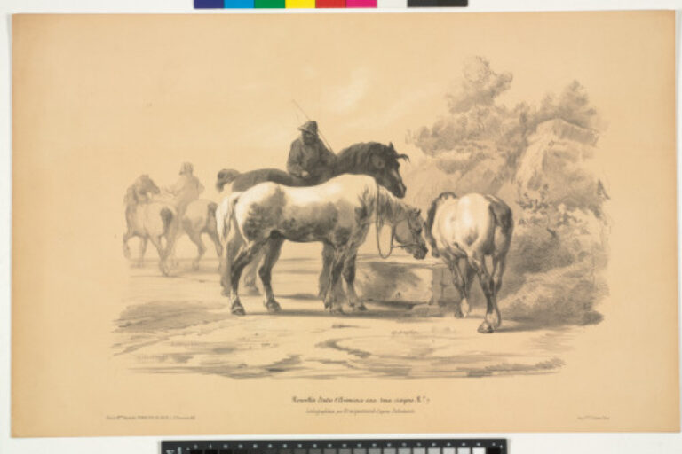 HORSES AT THE TROUGH