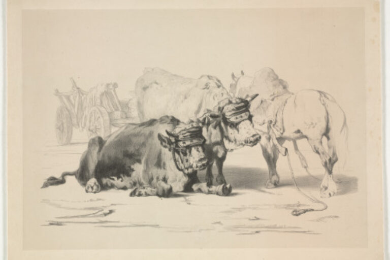 TWO OXEN, A WAGON DRAWN BY ANOTHER OX, A HORSE