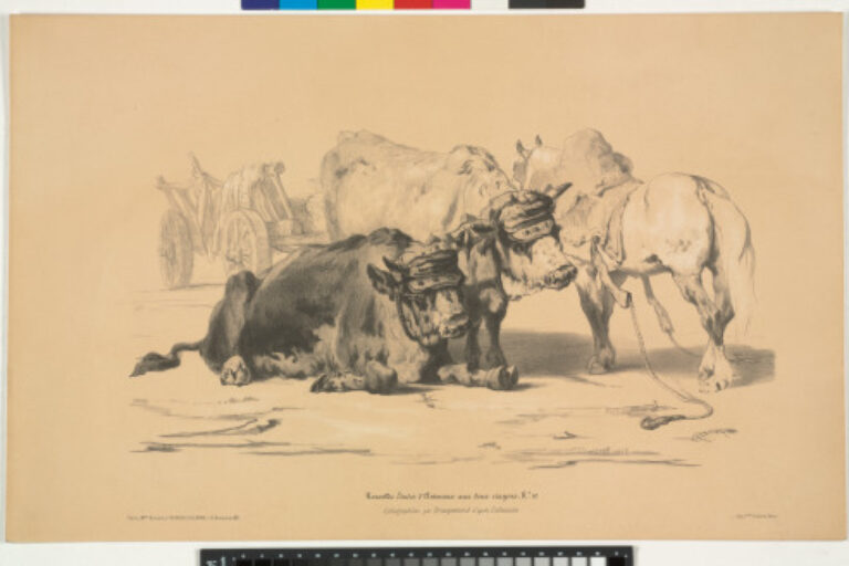 TWO OXEN, A WAGON DRAWN BY ANOTHER OX, A HORSE