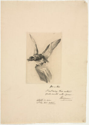 Titre pour Les Graveurs du XIXe siècle