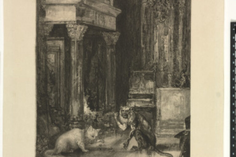 THE MONKEY AND THE CAT