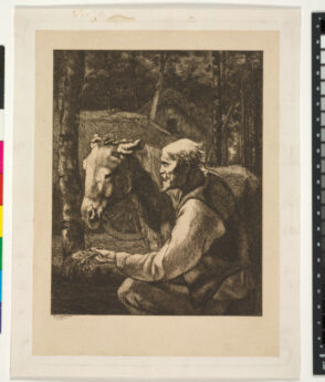 (Man feeding his donkey)